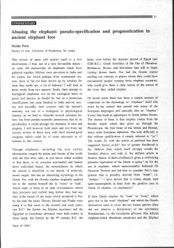 ancient elephant lorc