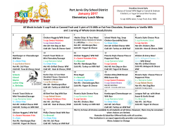 Port Jervis City School District January 2017 Elementary Lunch Menu