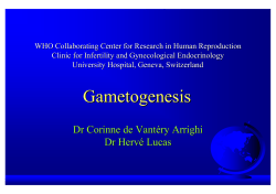 Gametogenesis