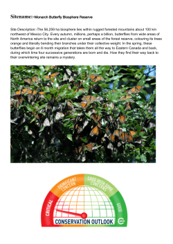 Sitename:-Monarch Butterfly Biosphere Reserve Site Description