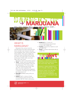 Dangers of Marijuana
