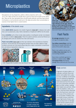 the fact sheet - Tangaroa Blue Foundation