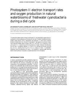 Photosystem II electron transport rates and oxygen production in