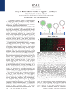 Arrays of Mobile Tethered Vesicles on Supported Lipid Bilayers
