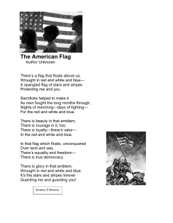 The American Flag