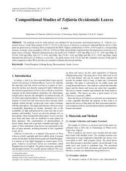 Fluted Pumpkin, Edikang ikong, Photosynthesis, Seeds, Leaves.