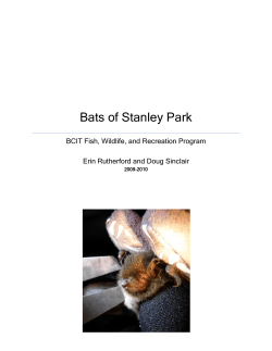 Bats of Stanley Park - Stanley Park Ecology Society
