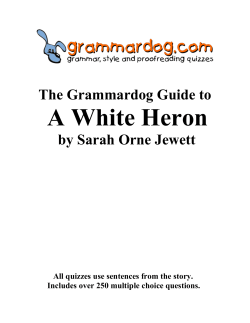 A WHITE HERON by Sarah Orne Jewett – Grammar and Style