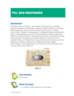 pill bug responses - Infobase Publishing