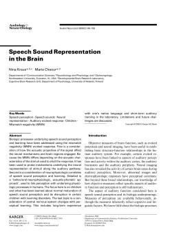 Speech Sound Representation in the Brain