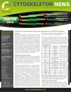 Post-translational Modifications - Essential for Protein Regulation