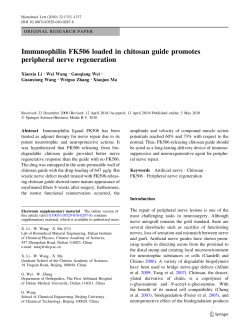 Immunophilin FK506 loaded in chitosan guide promotes peripheral