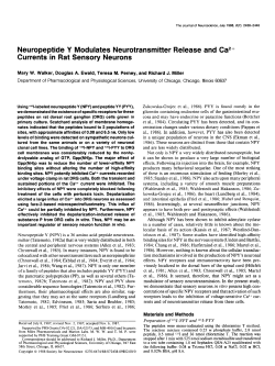 Neuropeptide Y Modulates Neurotransmitter