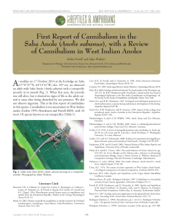 not - Anole Annals