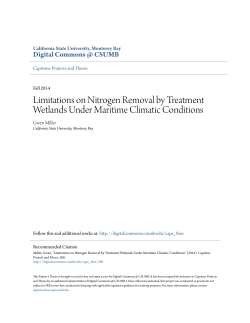 Limitations on Nitrogen Removal by Treatment Wetlands Under