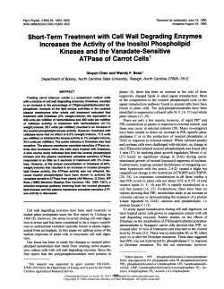 Short-Term Treatment with Cell Wall Degrading Enzymes Increases