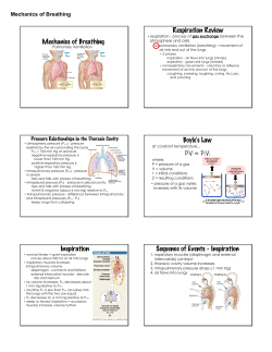 Mechanics of Breathing Respiration Review Boyle`s Law Inspiration