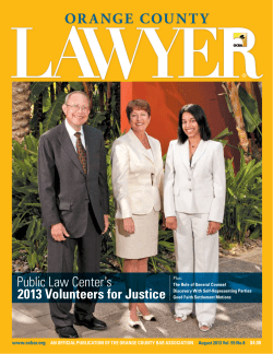 Public Law Centerʼs 2013 Volunteers for Justice