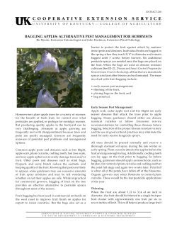 BAGGING APPLES: ALTERNATIVE PEST MANAGEMENT FOR