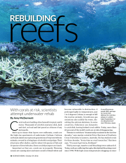 Rebuilding reefs