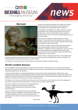Mermaid World`s smallest dinosaur