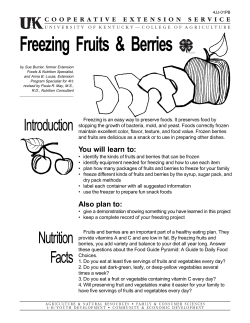 4JJ01PB: Freezing Fruits and Berries