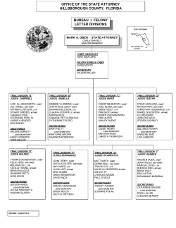 office of the state attorney hillsborough county, florida bureau i