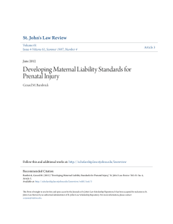Developing Maternal Liability Standards for Prenatal Injury