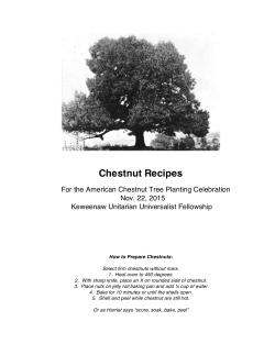 Chestnut Recipes - Keweenaw Unitarian Universalist Fellowship