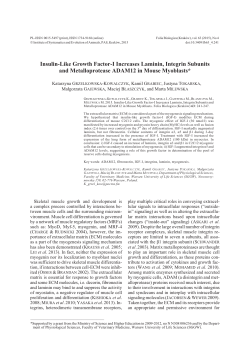 Insulin-Like Growth Factor-I Increases Laminin, Integrin