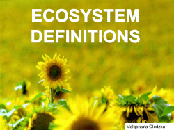 2006-04-06 - Ecosystem Definitions