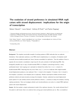 The evolution of strand preference in simulated RNA repli