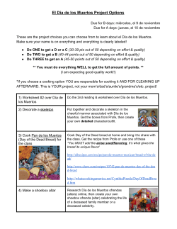 El D&iacute;a de los Muertos Project Options