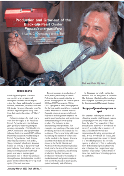 Production and grow-out of the Black-lip pearl oyster