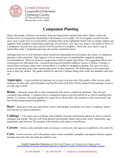 Companion Planting - Cornell Cooperative Extension Chemung