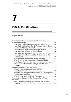 DNA Purification