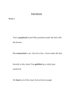 Tom Sawyer Week 1 Tom‟s perplexed Aunt Polly punched under