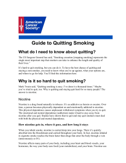 Guide to Quitting Smoking