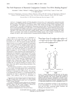 The FinO Repressor of Bacterial Conjugation Contains Two RNA
