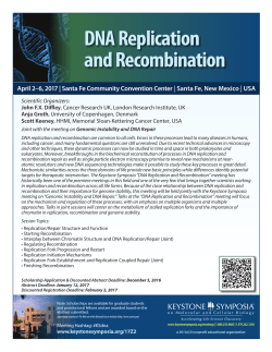DNA Replication and Recombination