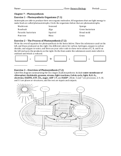 Chapter 7 Worksheet