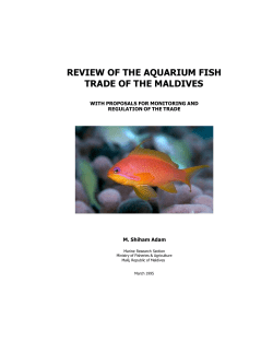 review of the aquarium fish trade of the maldives