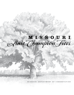Missouri State Champion Tree Program Brochure