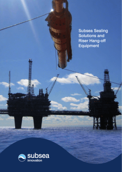 Subsea Sealing Solutions and Riser Hang