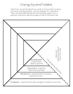Energy Pyramid Foldable