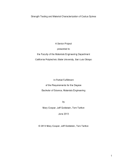 Strength Testing and Material Characterization of Cactus Spines