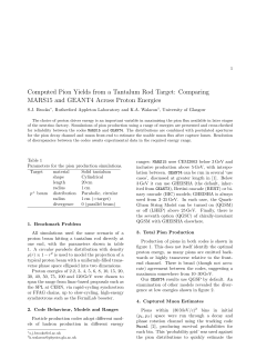 Computed Pion Yields from a Tantalum Rod Target