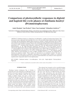 Comparison of photosynthetic responses in diploid and haploid life