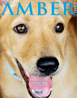 Amber Times Issue 4