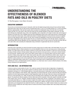understanding the effectiveness of blended fats and oils in poultry